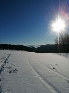 Foto von Ingo entlang der Tour