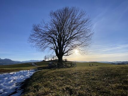 Foto von Sven Krieblin entlang der Tour