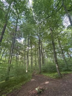 Foto von Robert Christiaans entlang der Tour