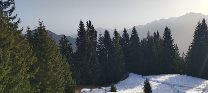 Zdjęcie z Tanya Mayer wzdłuż trasy