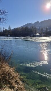 Photo de Mangolein le long du parcours