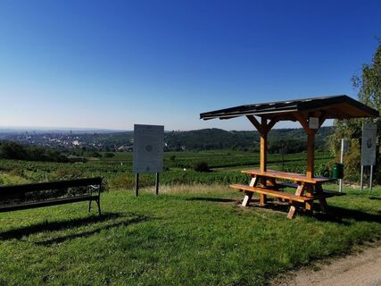 Weinwanderweg