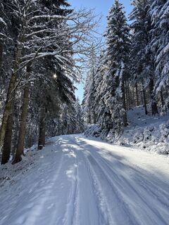 Fotografia z Heinz Sperl na trase