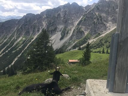 Fotografija s spletne strani Kay Erler na poti