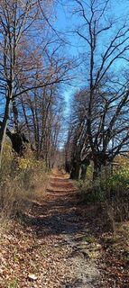 Fotografia z Martha Zeltner na trase