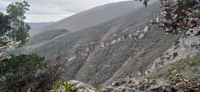 Fotografija s spletne strani Davide Lucertini na poti