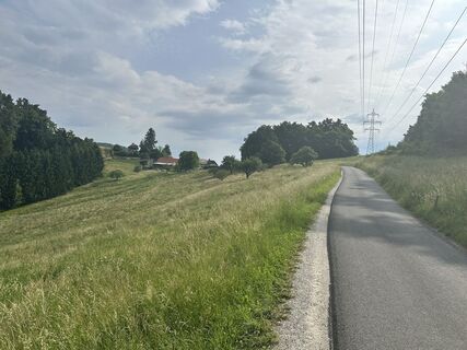 Fotografia z Kat_van_m na trase