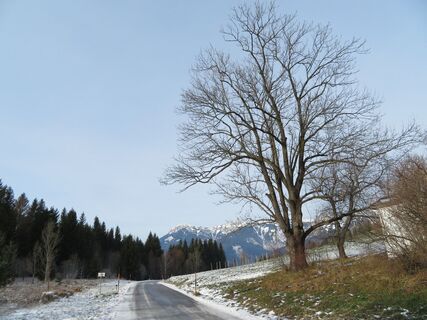 Breitenstein - Luckerte Wand - Prein a. d. Rax