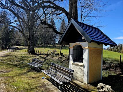 Foto de ElkeA a lo largo del recorrido