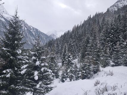 Fotografia z Sven & Aussie Lexi na trase