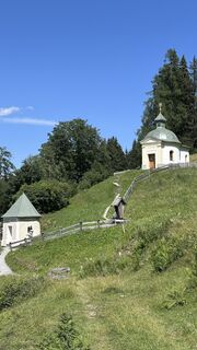 Zdjęcie z Mountain Cat ? ⛰️ wzdłuż trasy