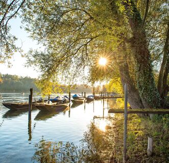 Dörflingen_Rhein_Waldheim_Weidling_Rhein_Herbst