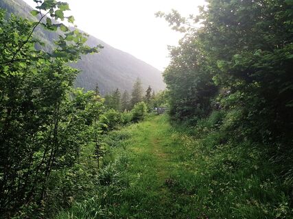 Gföllweg im Untertal