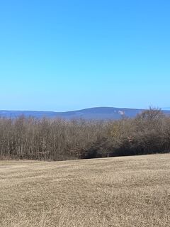 Foto von Julika Jármer entlang der Tour