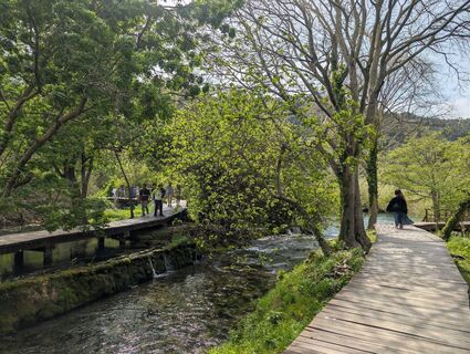 Foto von Der_Brasilianer entlang der Tour