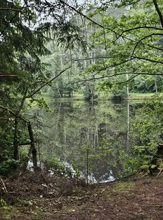 Fotografija s spletne strani Angelika Gerung na poti