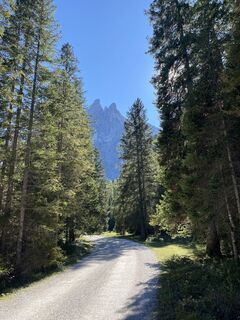 Fotografija s spletne strani Gianberto Zilli na poti