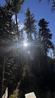 Foto von Simon Beisheim 1 entlang der Tour