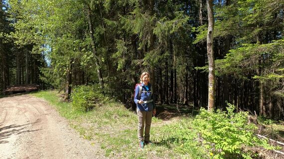 Aufstieg durch den Wald