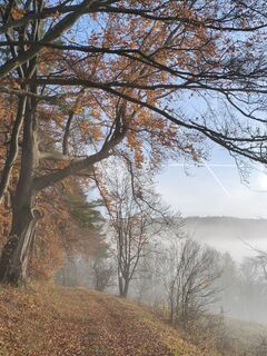 Fotografia z Fredi Oppel na trase