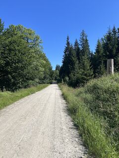 Fotografie z SiWei na trase