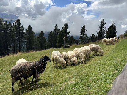 Foto von Marcus Mertens entlang der Tour