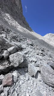 Photo de Mountain Cat ? ⛰️ le long du parcours