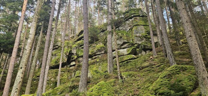 Fotografia z Berni_S na trase