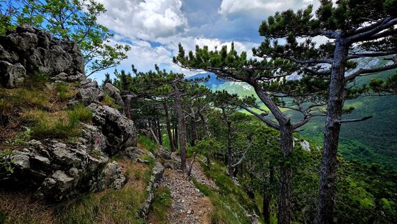 Photo de Danijel Sorola le long du parcours