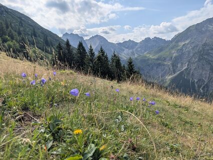Fotografija s spletne strani Arne Schlieder na poti