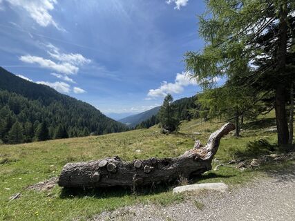 Foto von Roberta Ressetta entlang der Tour