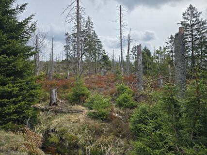 Foto von Martina Gerneck entlang der Tour