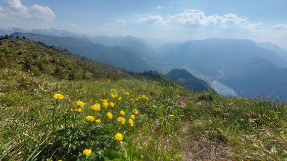 Traunkirchen, Oberösterreich/Österreich