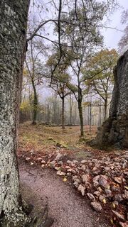 Foto da Ansgar Unde Vrederun lungo il tour