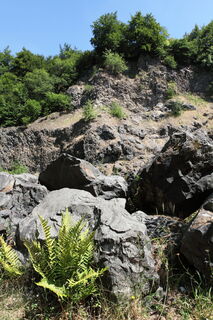 arensberg-regnery04_1