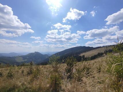 Fladnitz an der Teichalm, Steiermark/Österreich