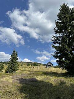 Fotografija s spletne strani Mani S na poti