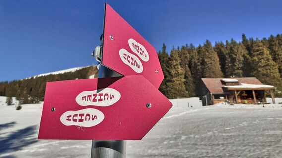 Kurz vor unserem Ziel - Moaralm