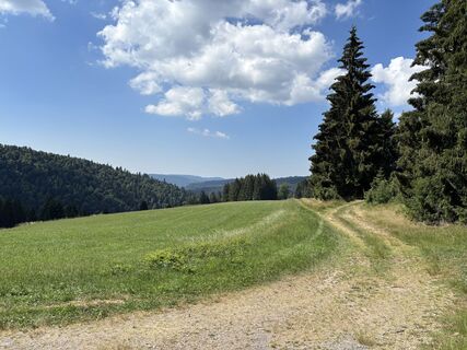 Foto von Barbara Schwaerzler entlang der Tour