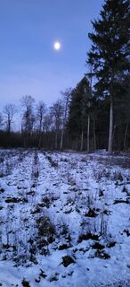 Photo de Angie Rickert le long du parcours