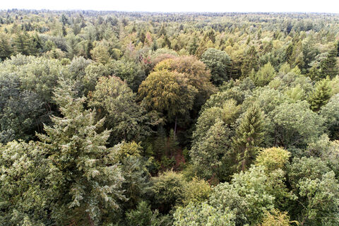 Zemljevid