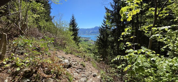 Foto von Elfriede Moessler entlang der Tour