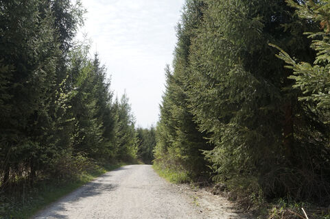 Prälatenweg nach Salem