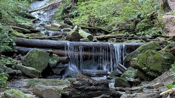 Fotografija s spletne strani Jele Hannes na poti