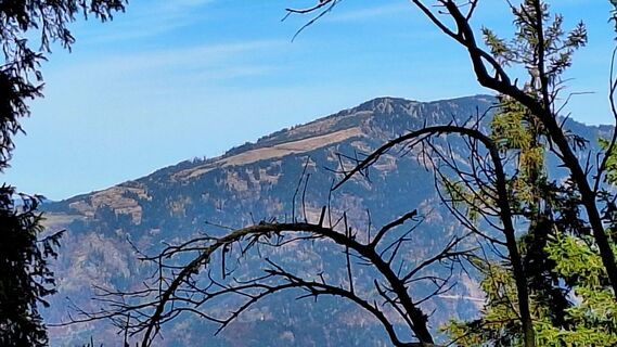 Fotografija s spletne strani Regina Fleischmann na poti