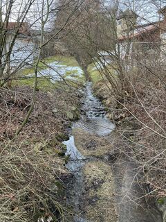 Photo de Daniel Vogel le long du parcours