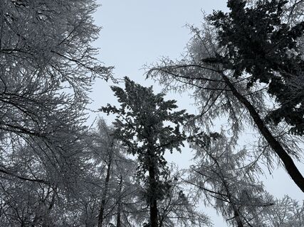 Fotografia z Norbert Herbig na trase