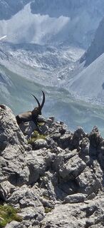 Foto de Alfin a lo largo del recorrido