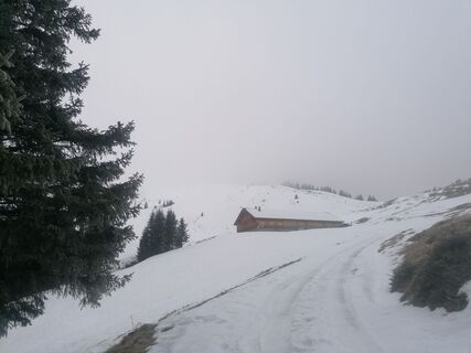 Photo de Turbinio le long du parcours
