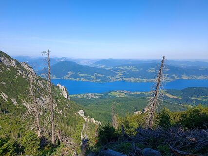 Photo de Stefan Gruber 8 le long du parcours